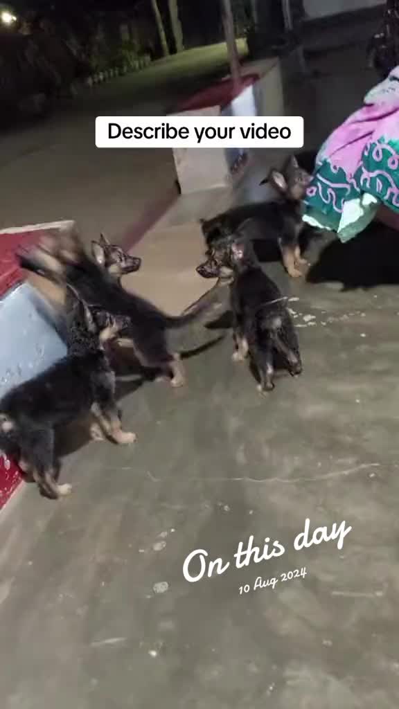 @sivakumar
