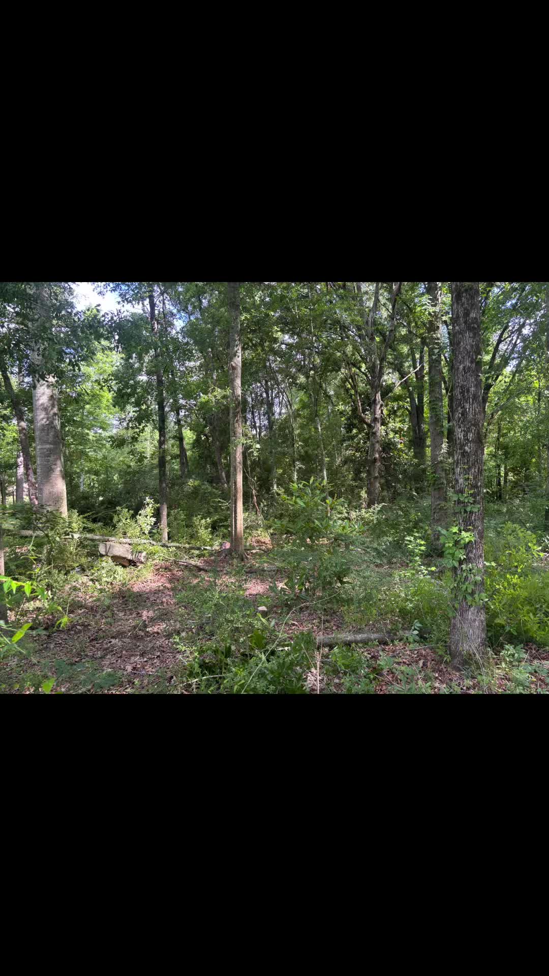 @CSR Tree Service, LLC.