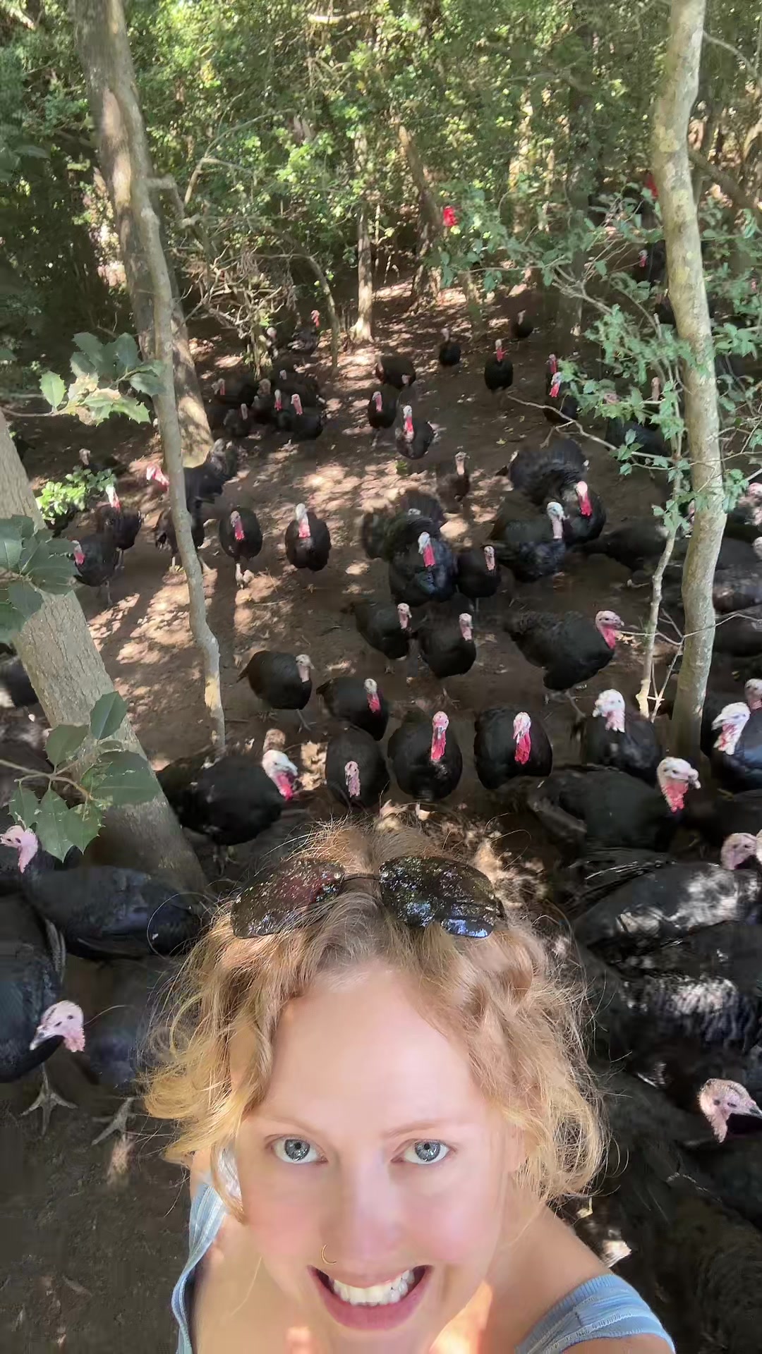 @farmerandtheharpiist