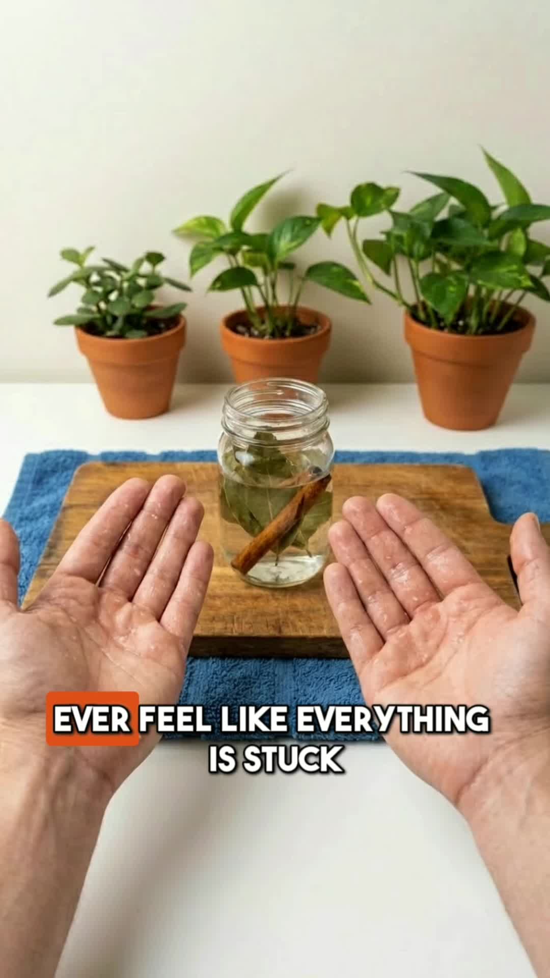 @Naturalspfood✨🌳