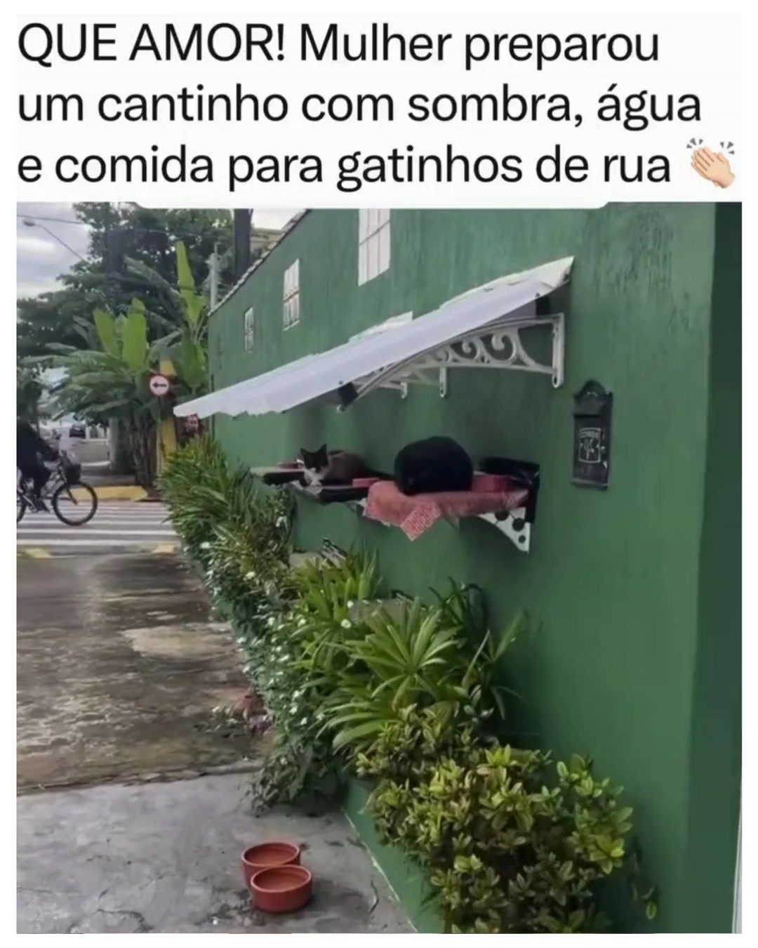@Alfinetei