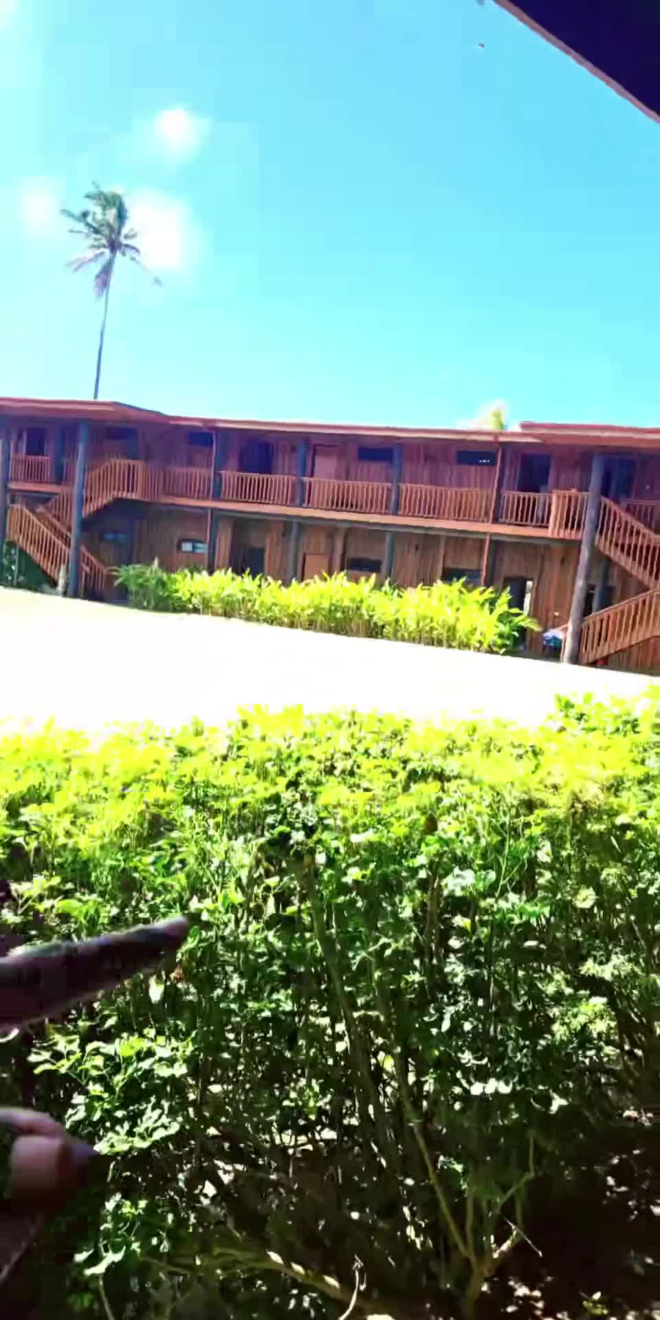 @Kizzy Kalsakau
