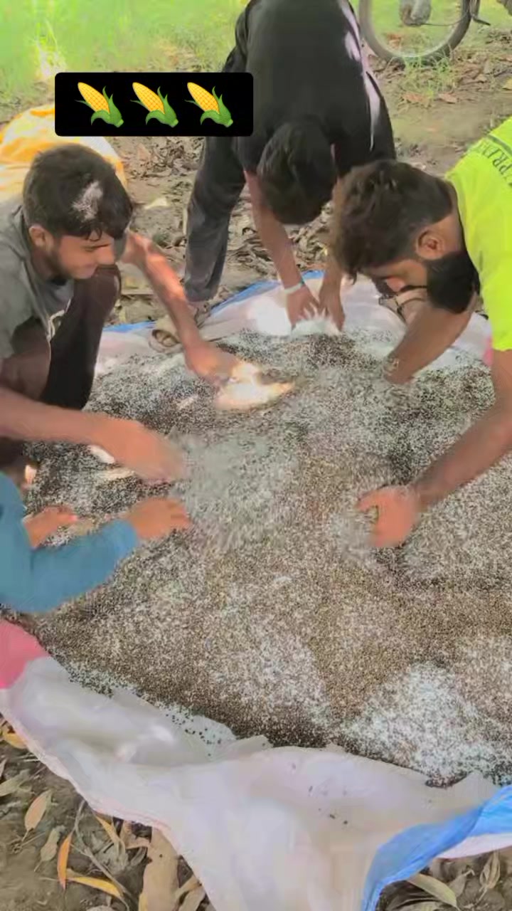 @مزمل پینڈو