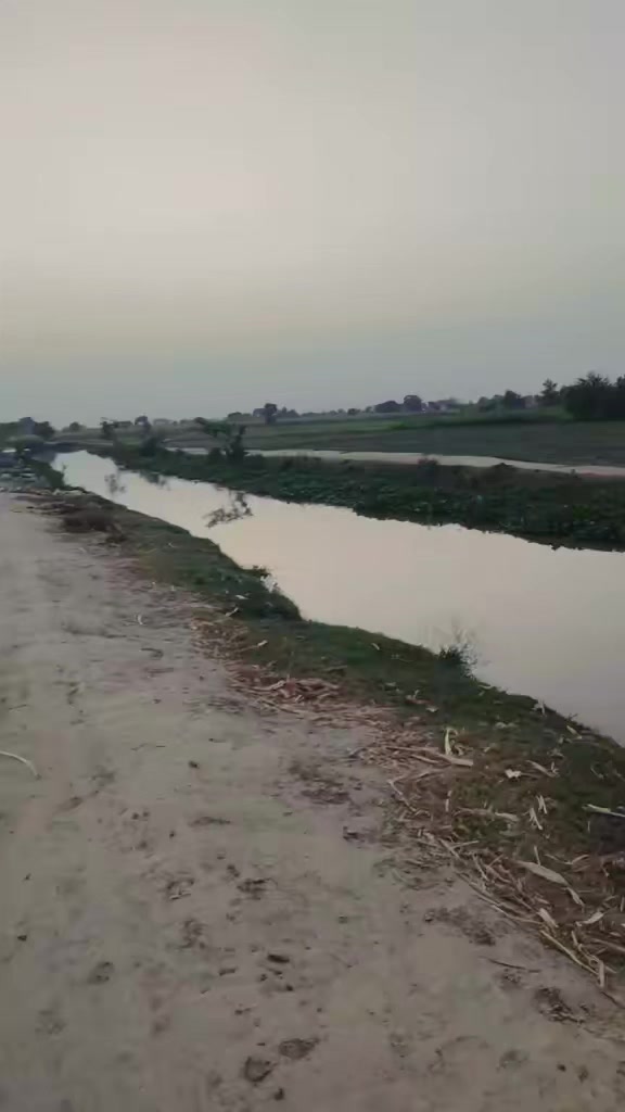 @Mehar Majo🇵🇰