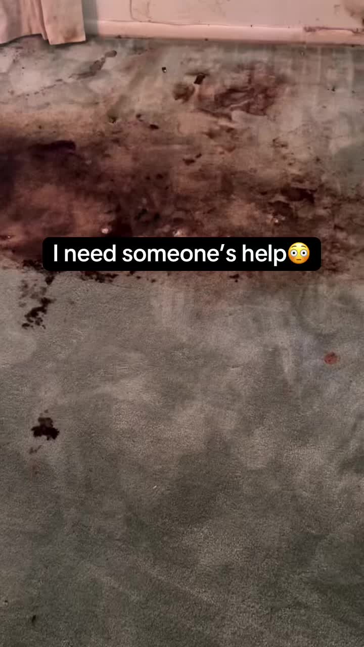 @jax.the_ripper_