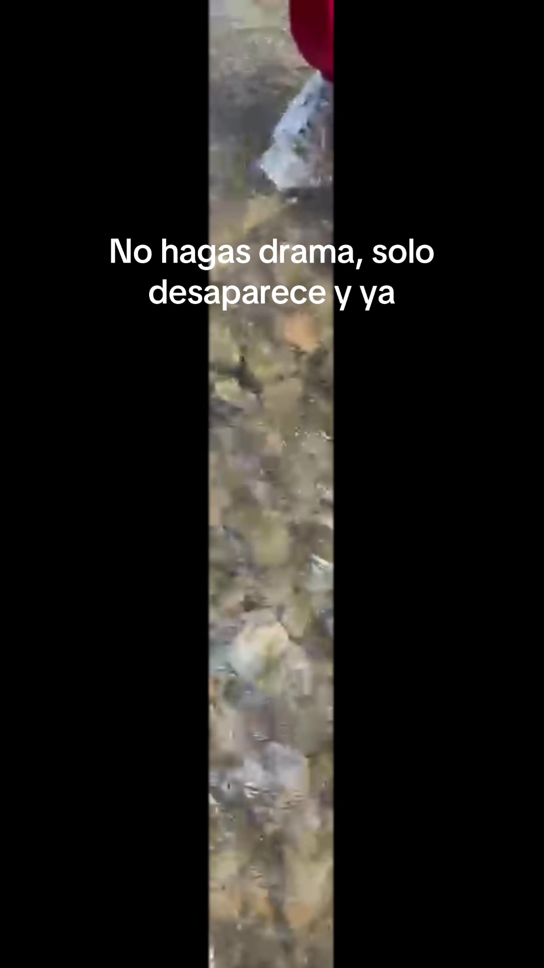 @Alejandra Rodriguez