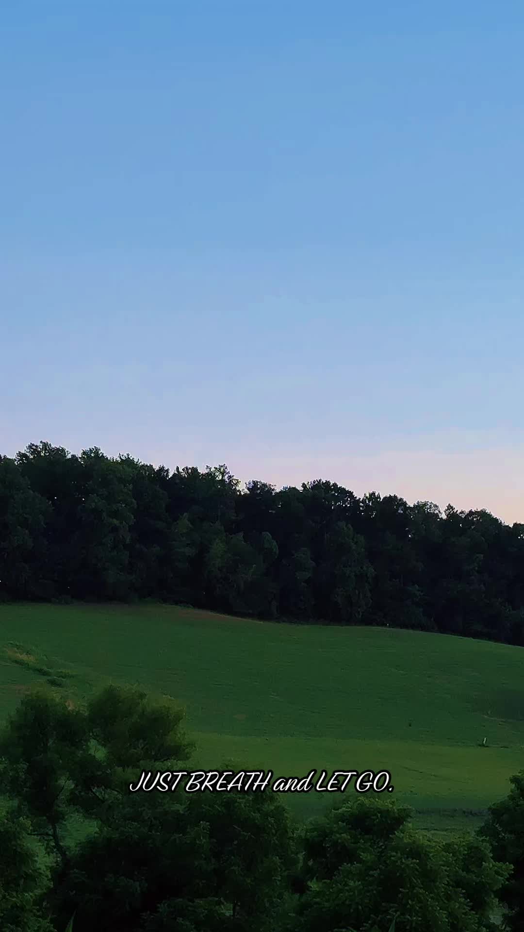 @Danigurl🦮🏇🌅🏳️&zwj;🌈