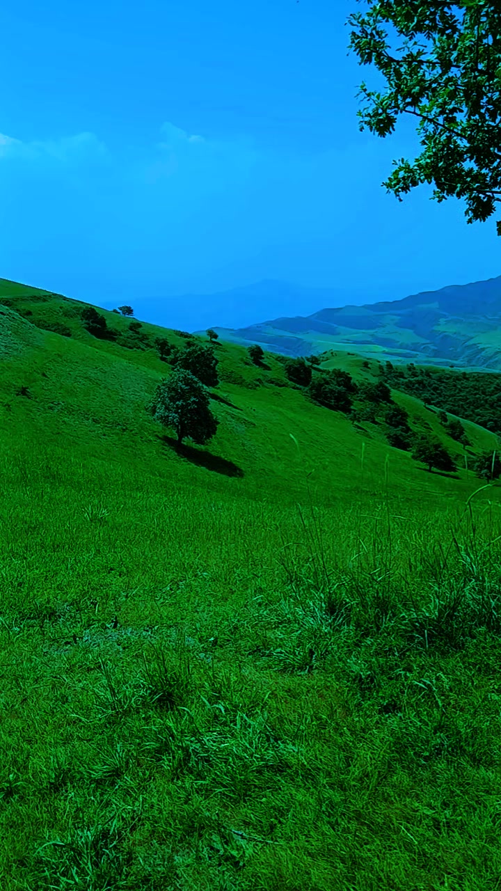 @U🇹🇯