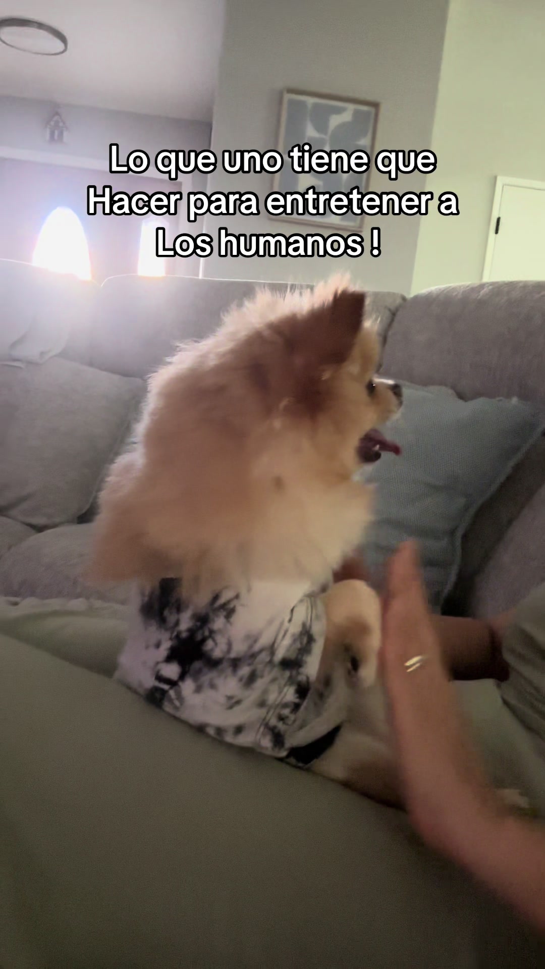 @moncmaga