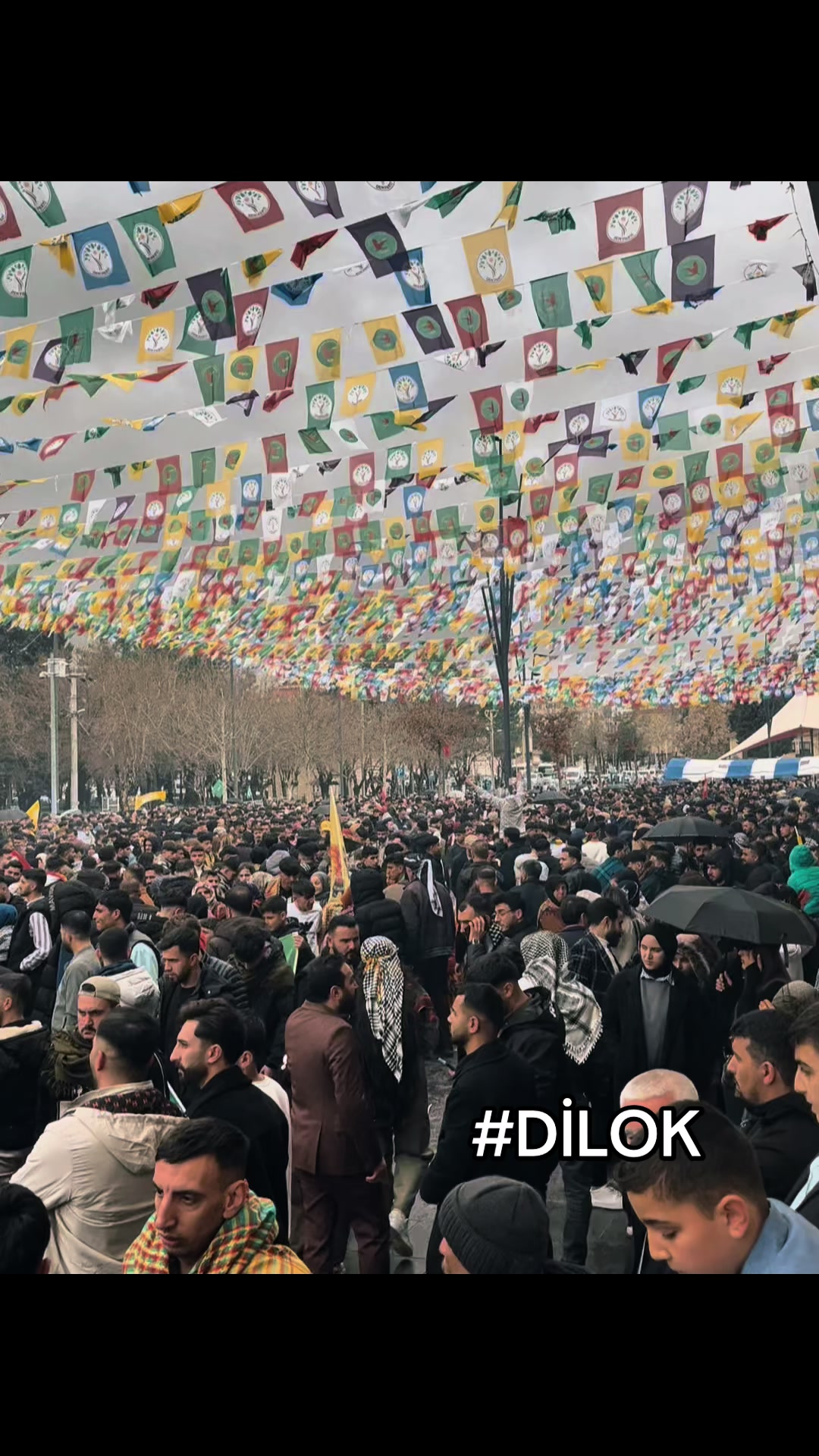 @SALİH DALSAL