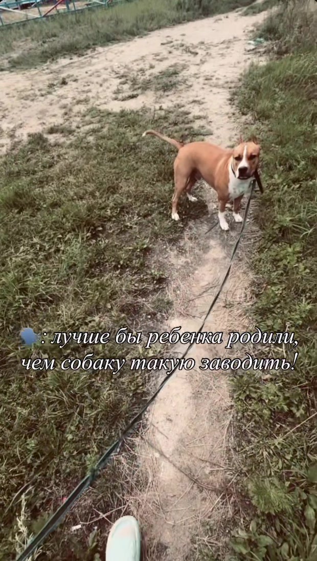 @shapovaaa1ova