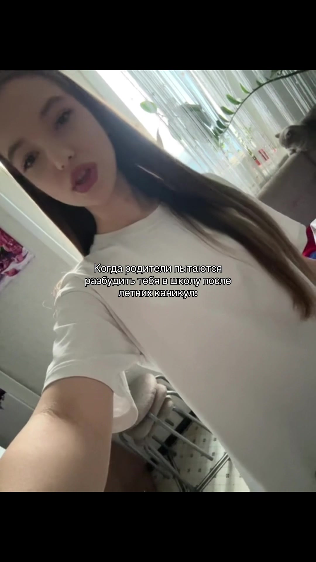 @visqw5