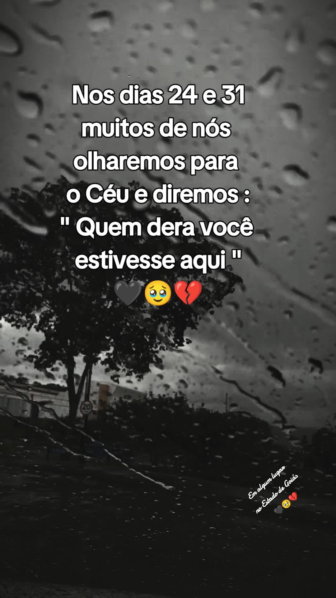 @De tudo um pouco/TikTok shop