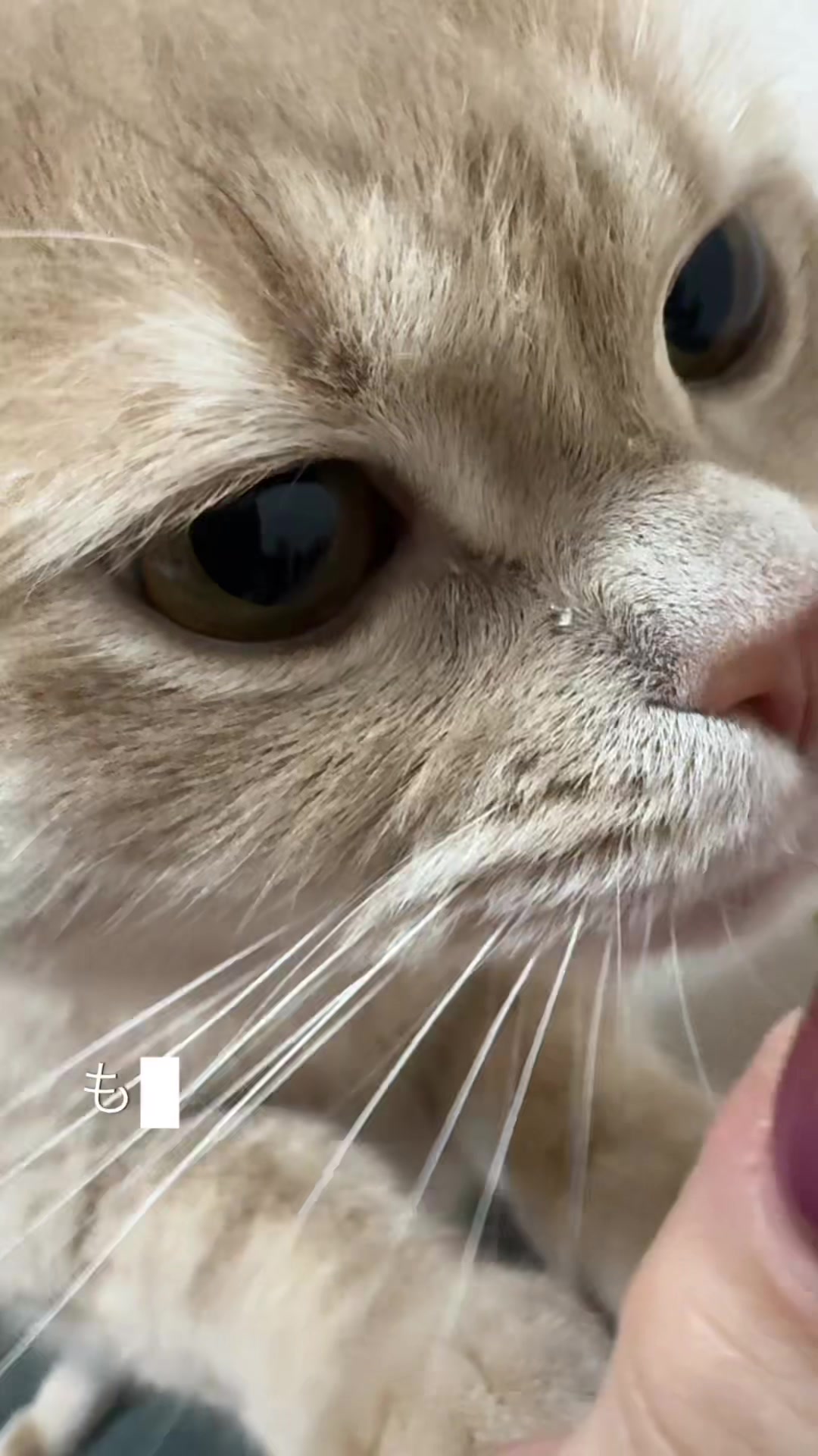 @ð«ð§ããã±ã³ðïžãããµãð§ð«