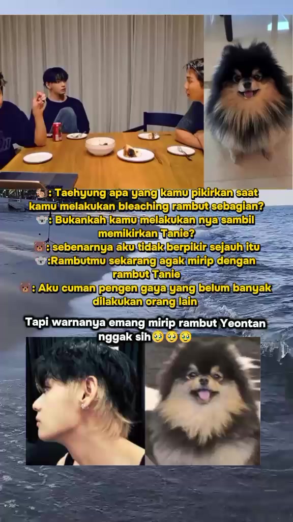 @Miil-jimin 🐣