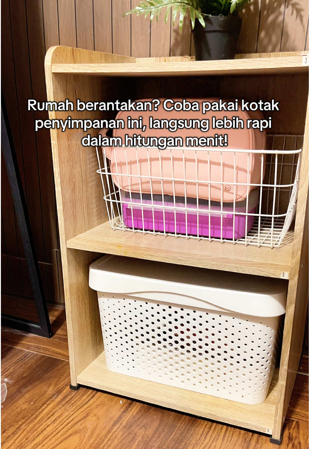 @SERBA BUAH PADANG