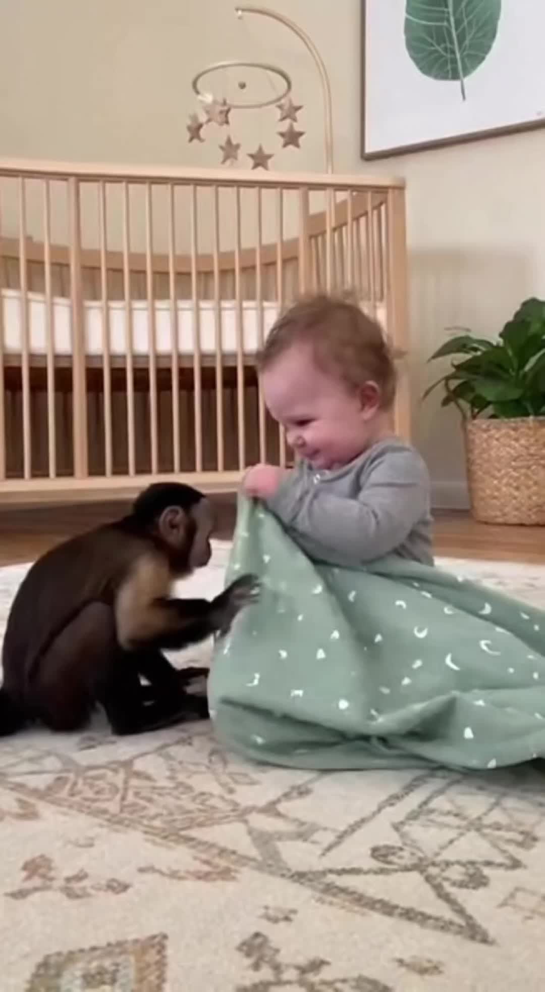 @monkeyfuntime