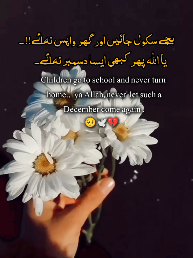 @𓆩𝙐𝙍✿᭄𝙍𝘼𝙉𝙅𝙃𝘼𓆪🌷🌚🍷
