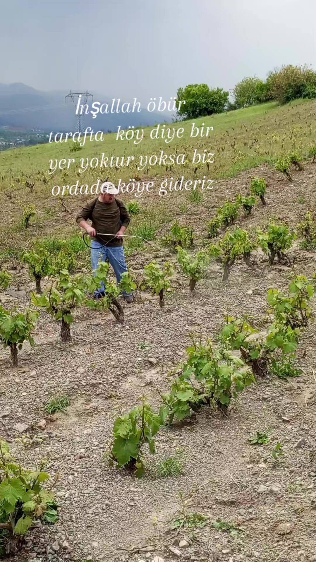 @Zübeyde karakaş 💜💙❤🩵