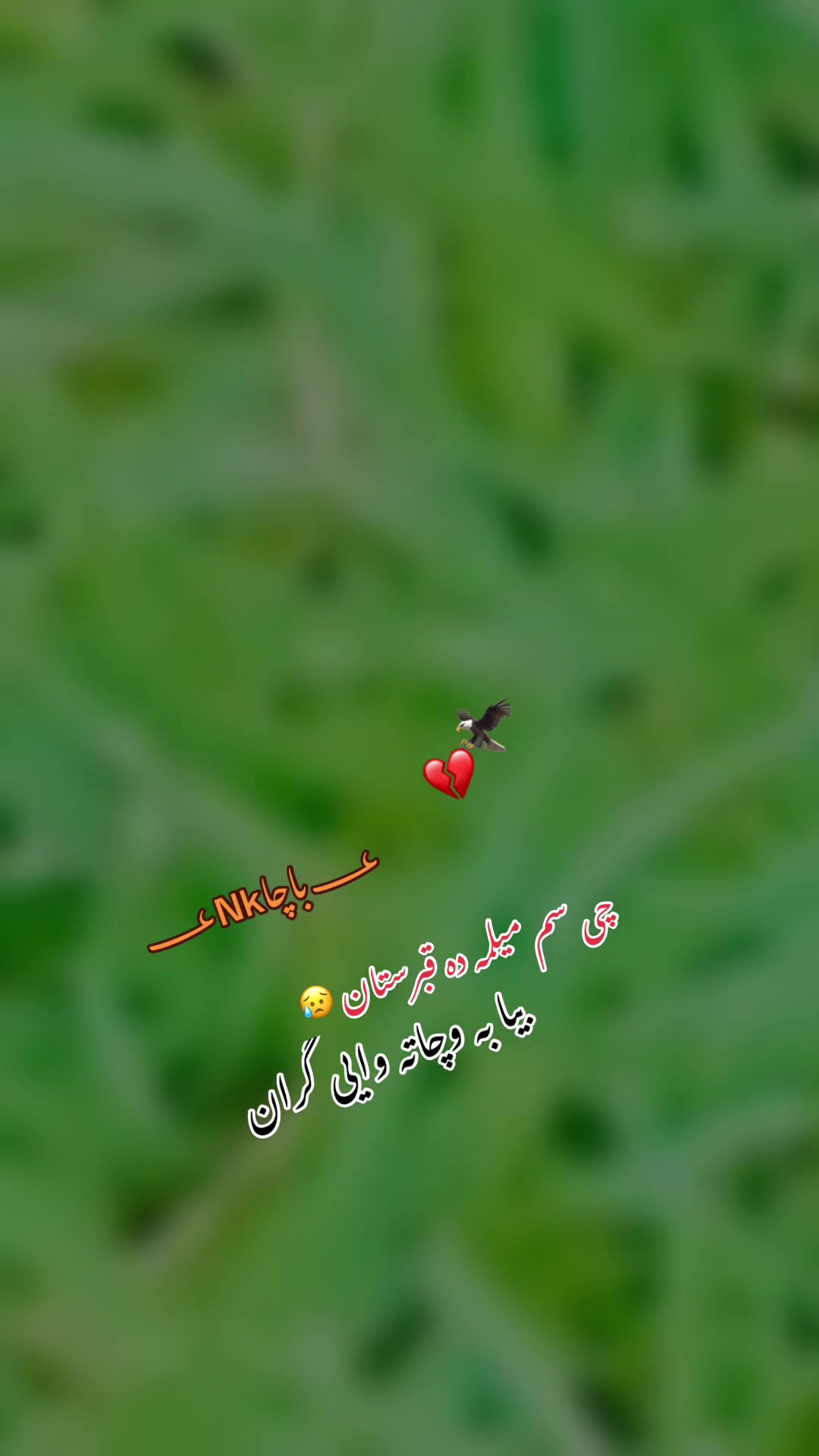 @💫~ºitx.Nk.BACHA°~🌷