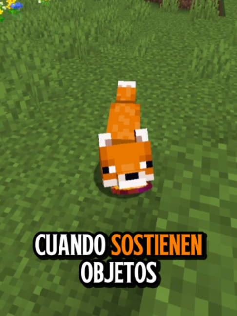 @donrimonmc