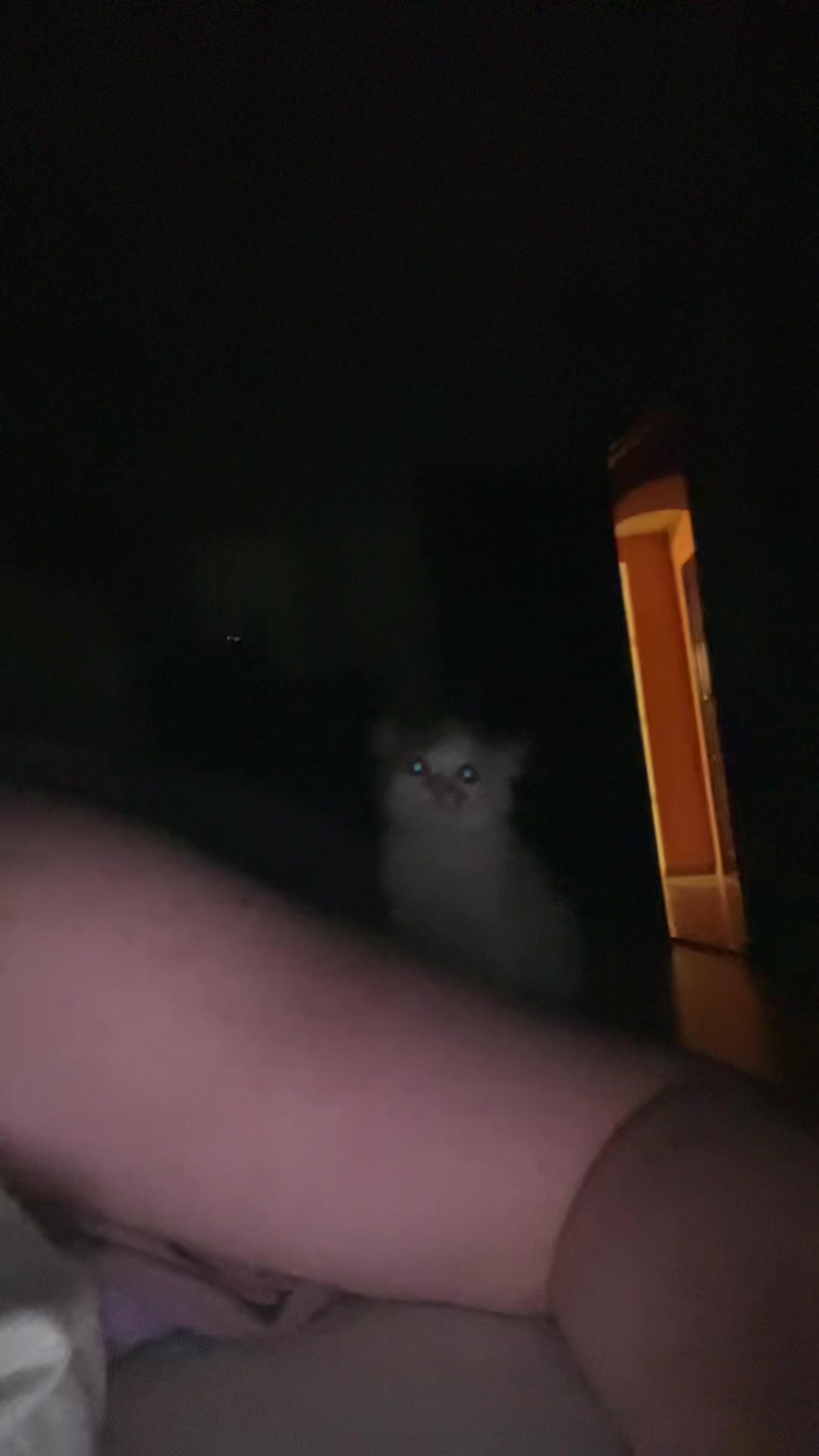 @ярик часть 2