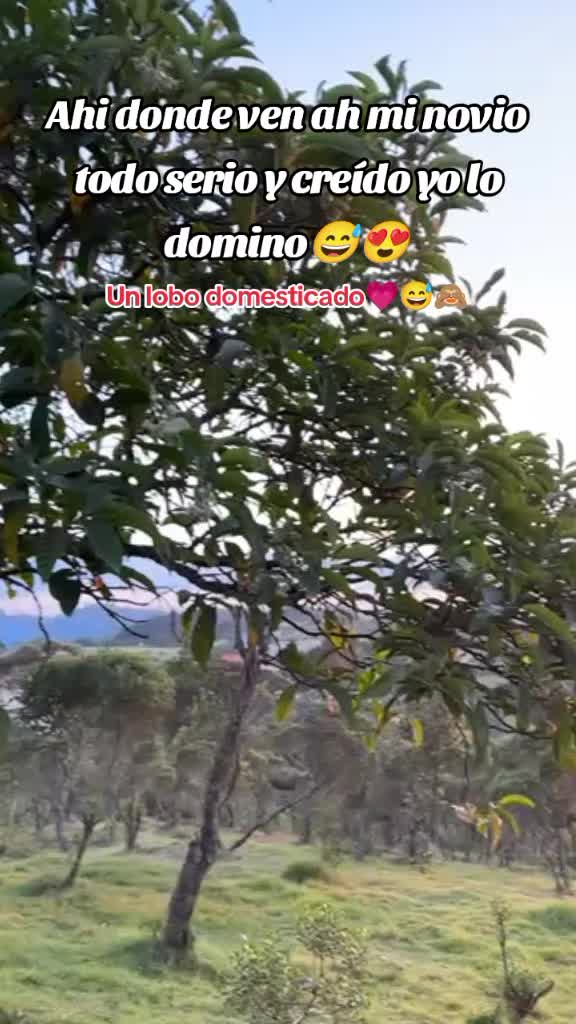 @Seliiii Barrera 😍🥺👑