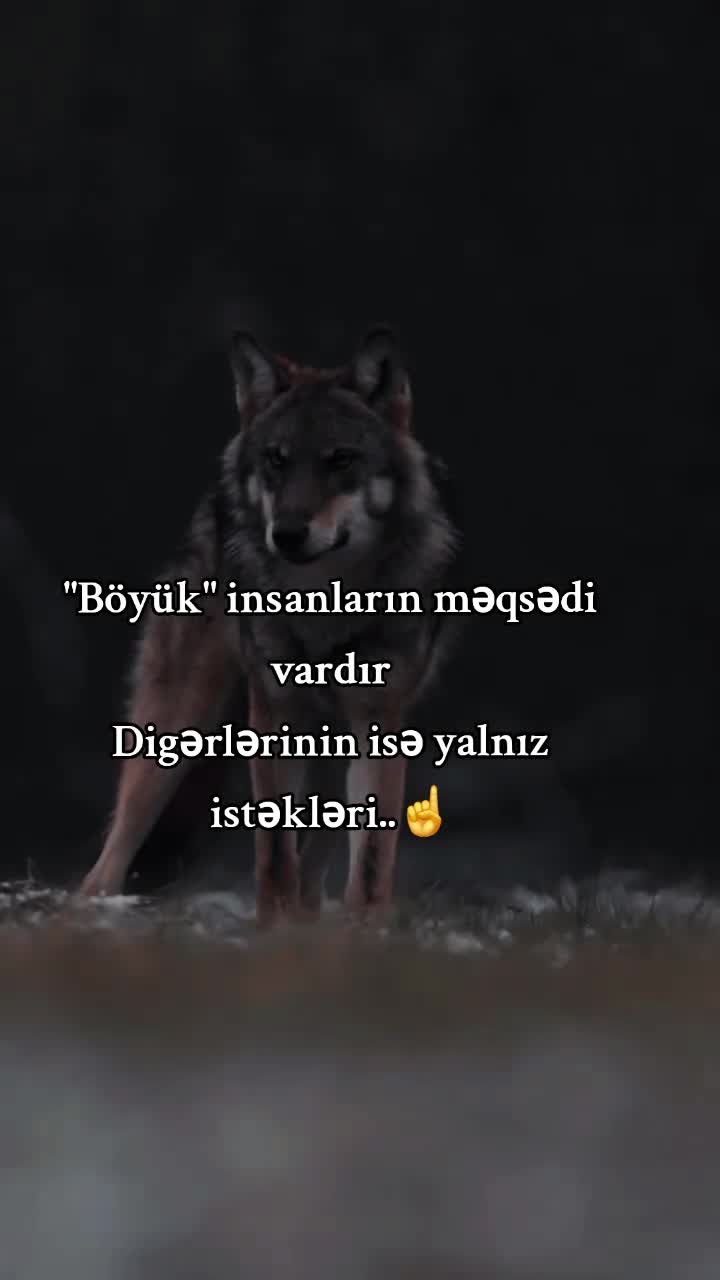 @Rəşad_Rəhimov