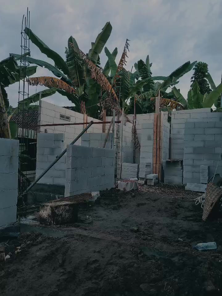 @D&A Project