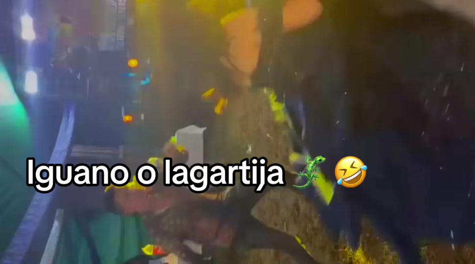 @☘️MEJ&Iacute;A ☘️T&Eacute;LLEZ ☘️ RODRIGO🤠