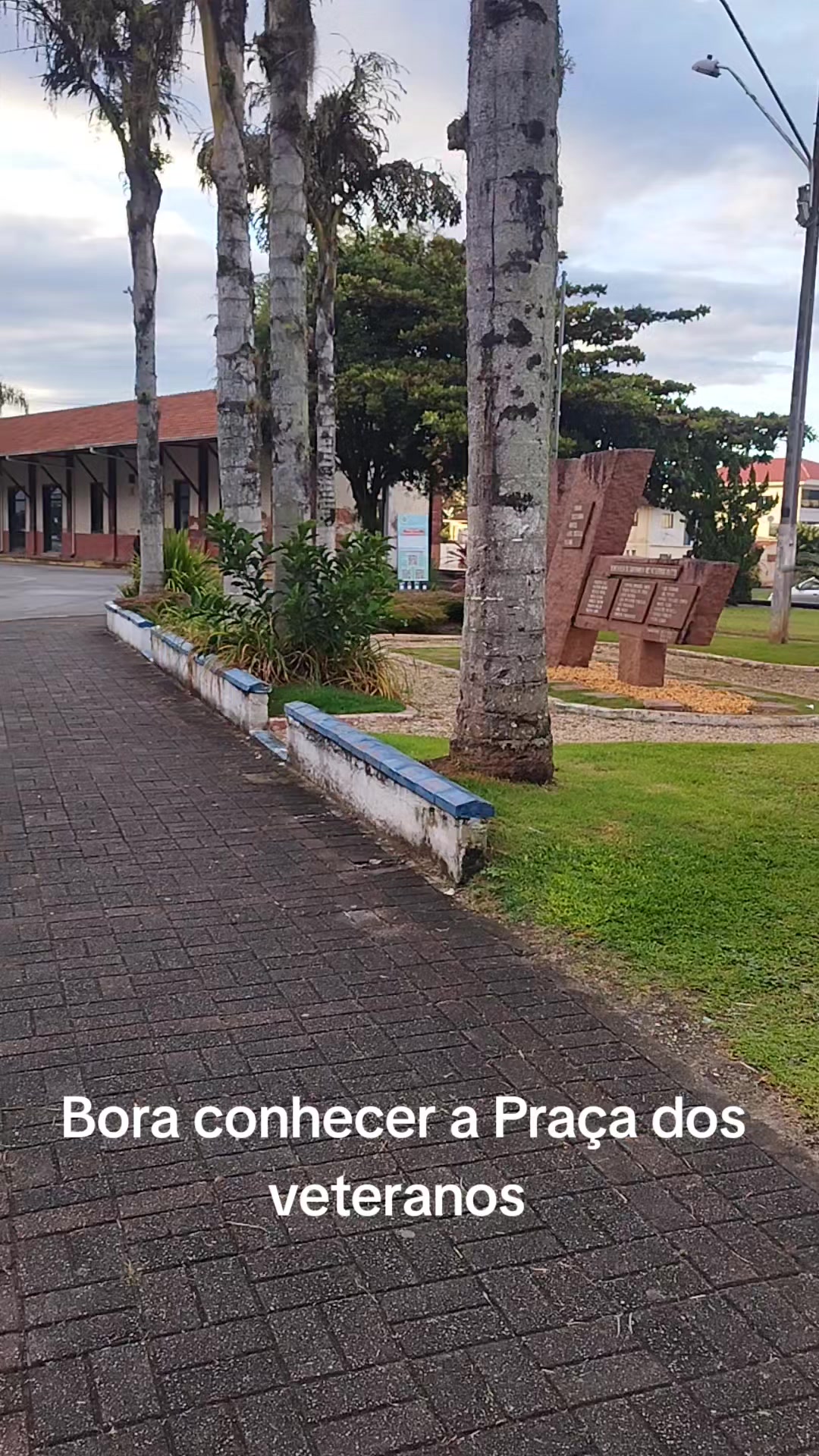 @Se Tu Bora Eu Boro 🛻