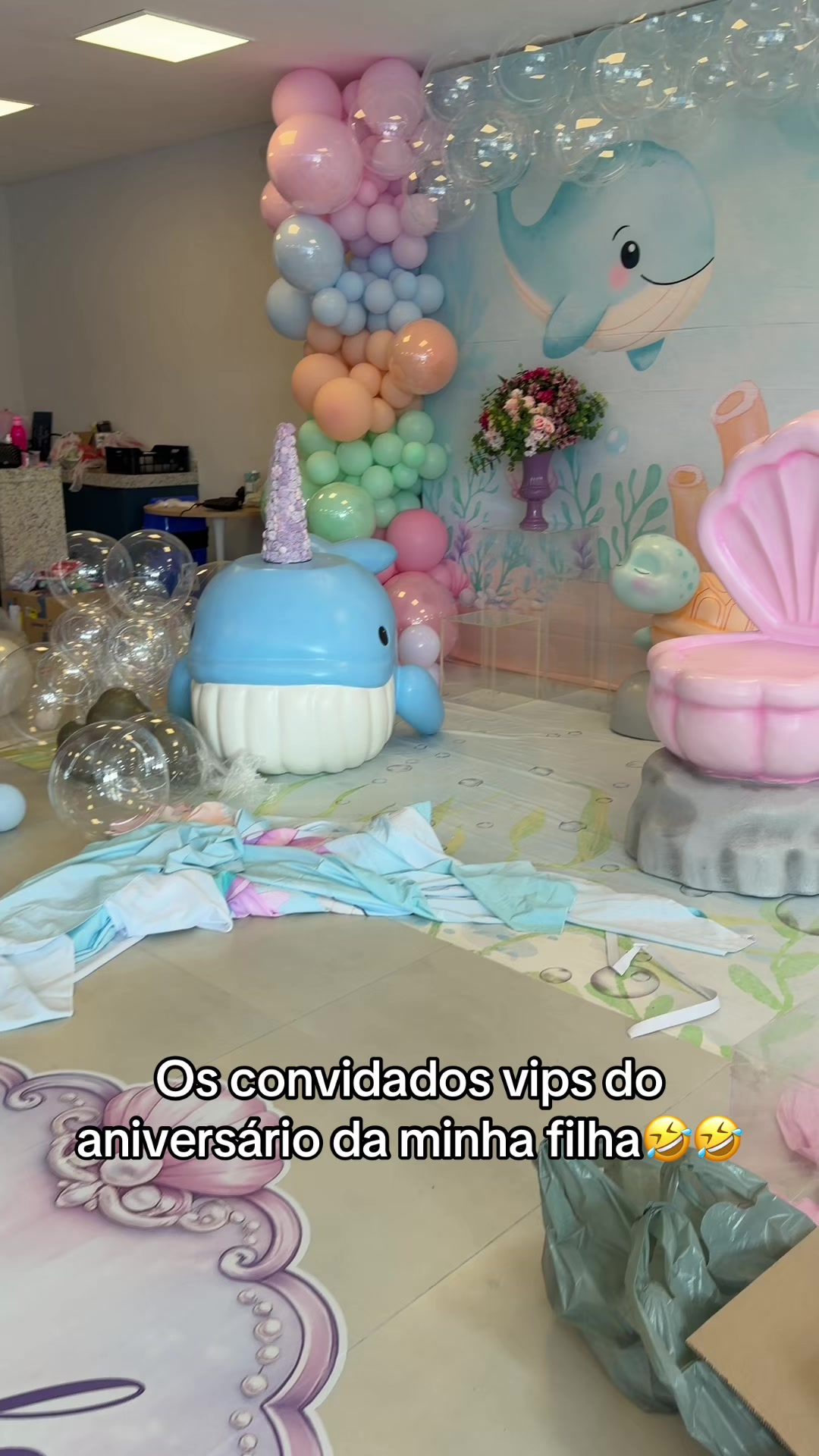 @Mailane Braga Balões e Decor