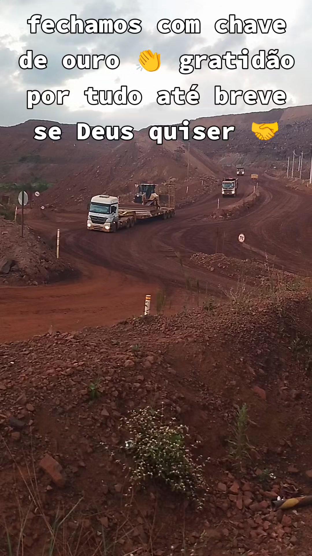 @franciscofarias278