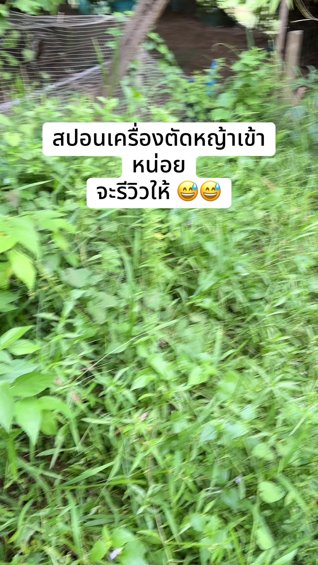 @แอนนา ชิดาพาเพลิน