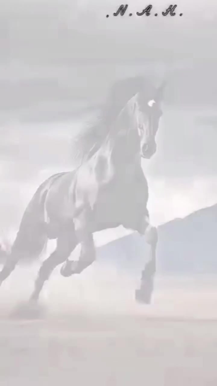 @🌎Nastenka🦂🐱🇧🇾🇧🇾🇧🇾🌍