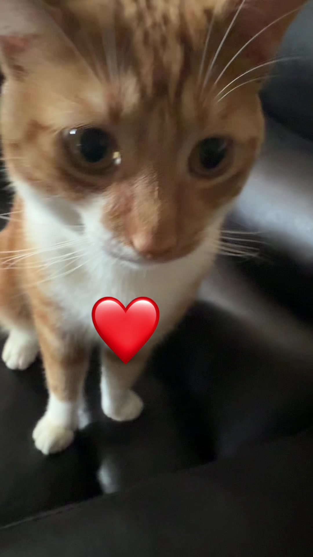 @as_rch❤️🇨🇦