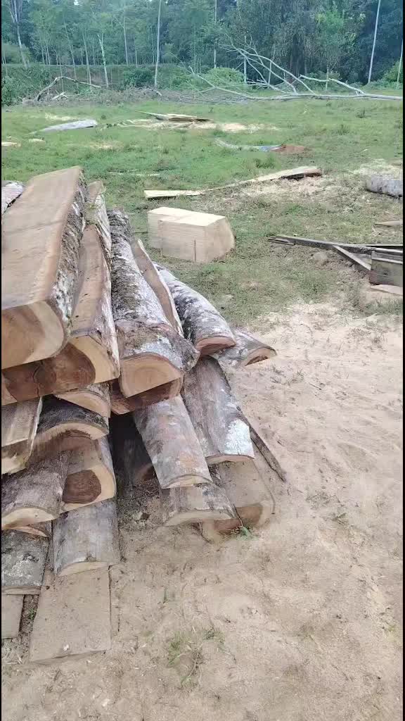 @alialvarado739