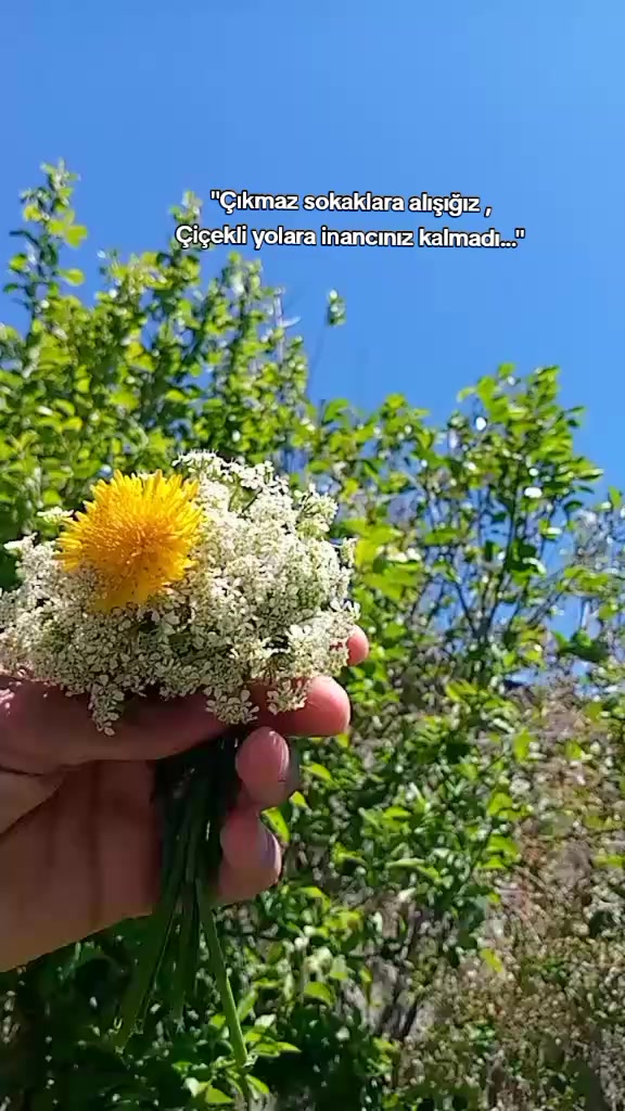 @"🦋
