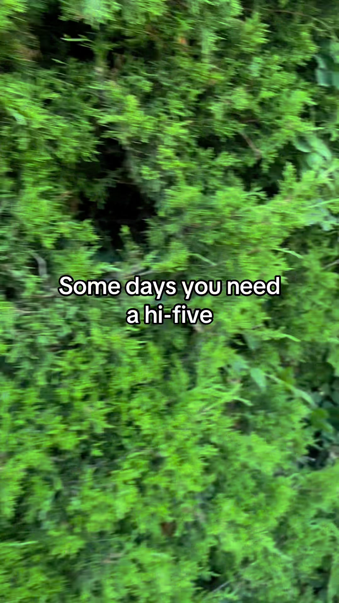@Tish