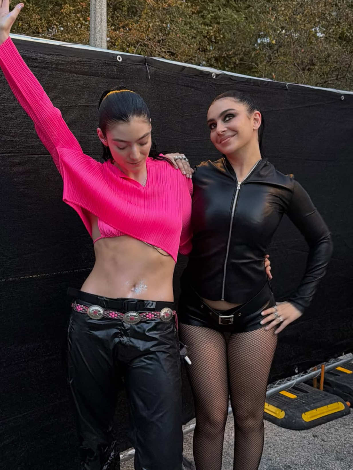 @lollapaloozaar
