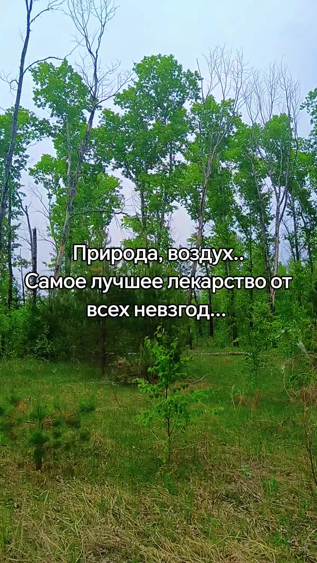 @❤️СеРдЦеЕдКа❤️