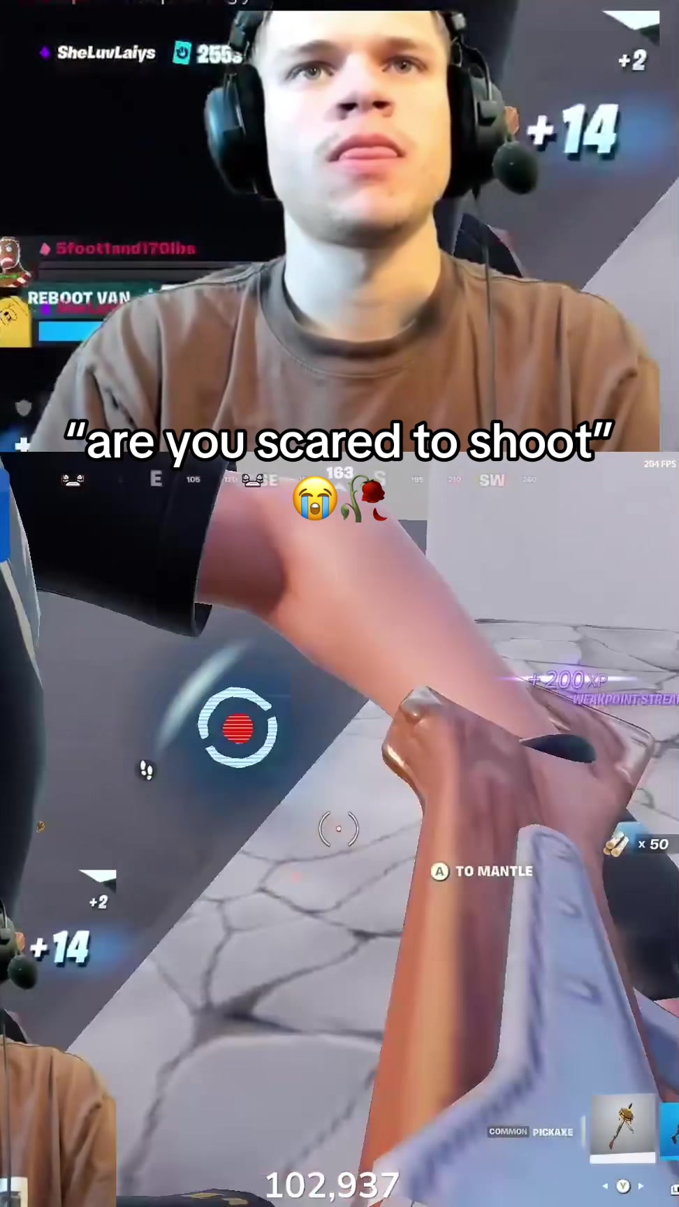 @xelioclipped