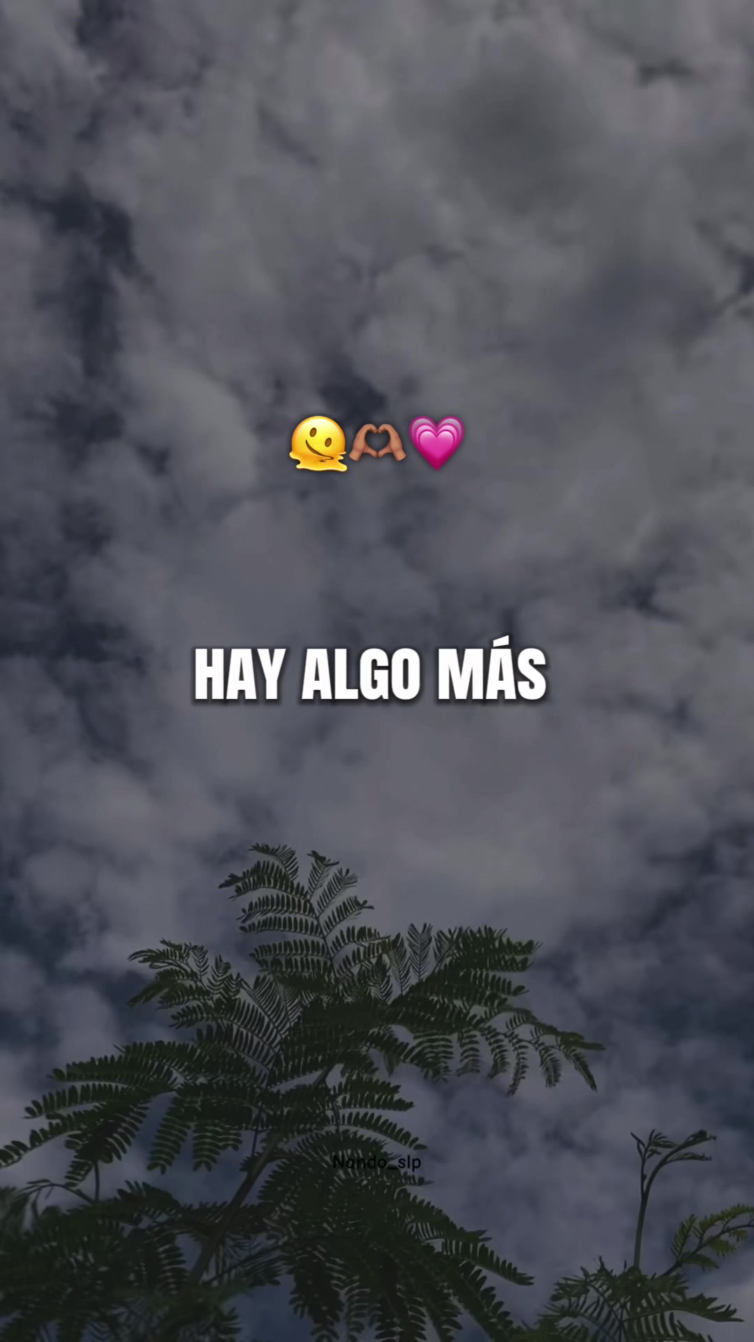 @Fernando Alvarez🫶🏽