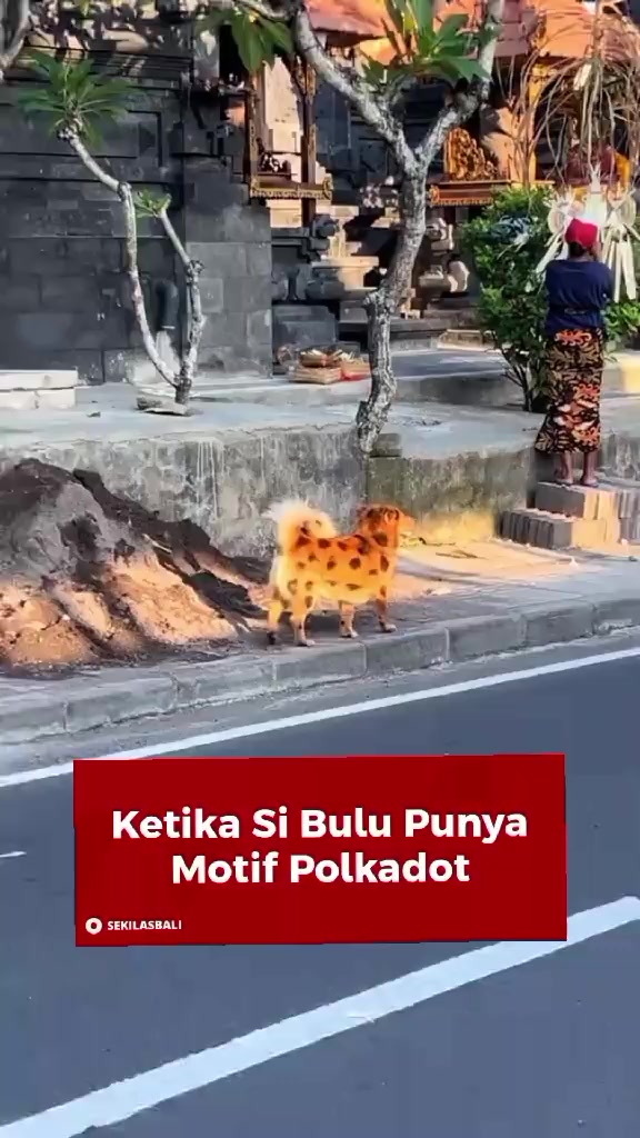 @Sekilas Bali