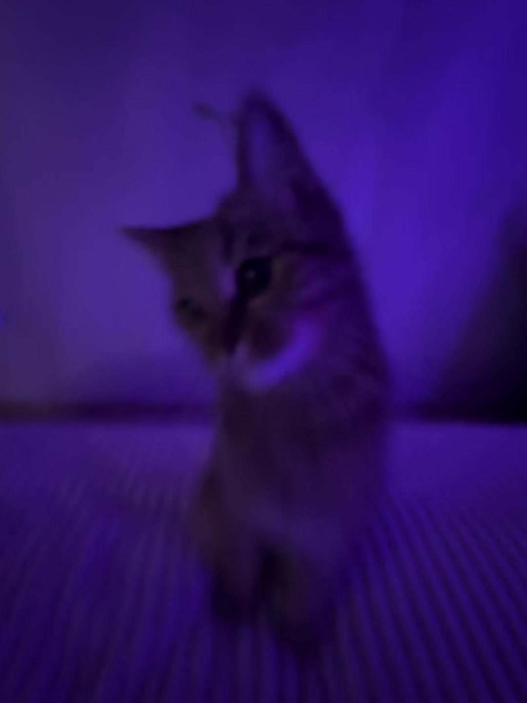@еу