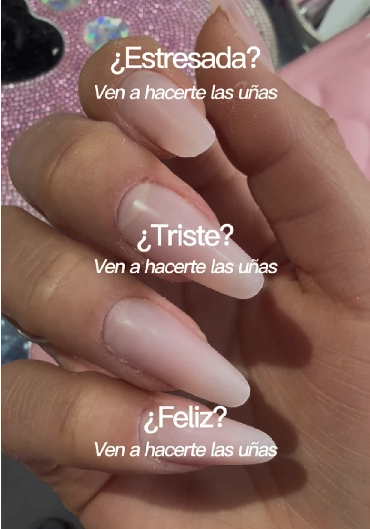 @Fabiana Alvarez