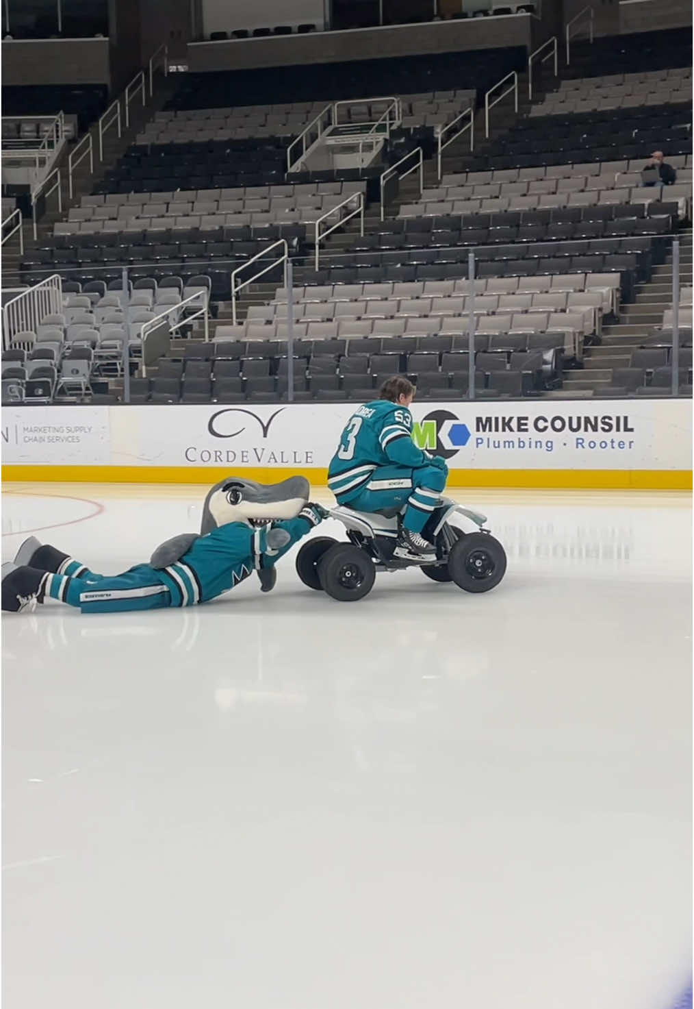 @SJ SHARKIE