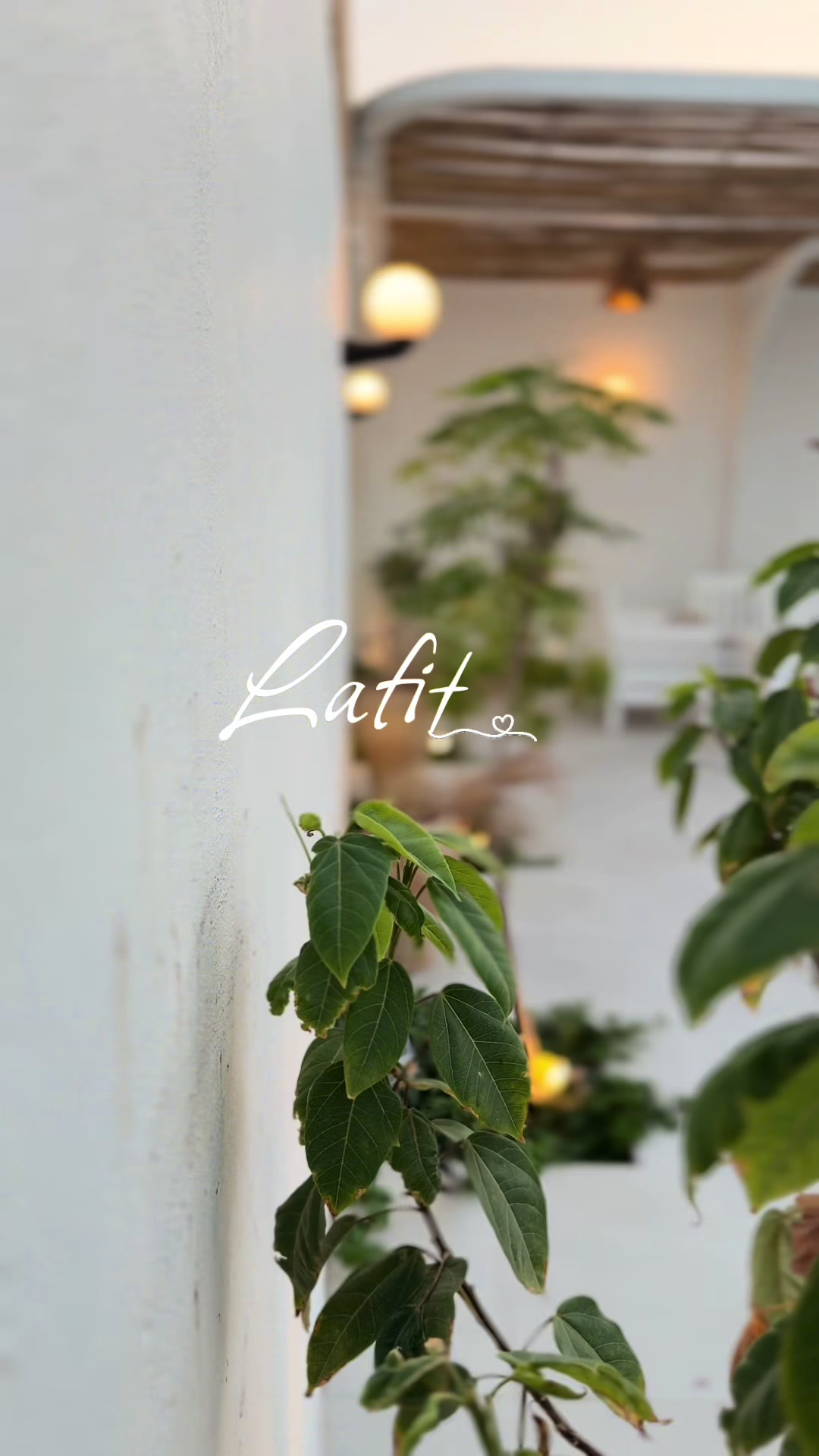 @lafit.1