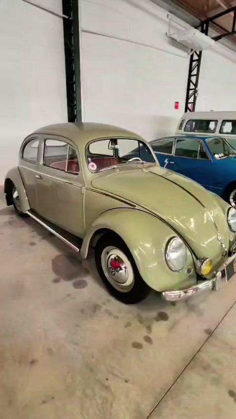@Cars in Brasil