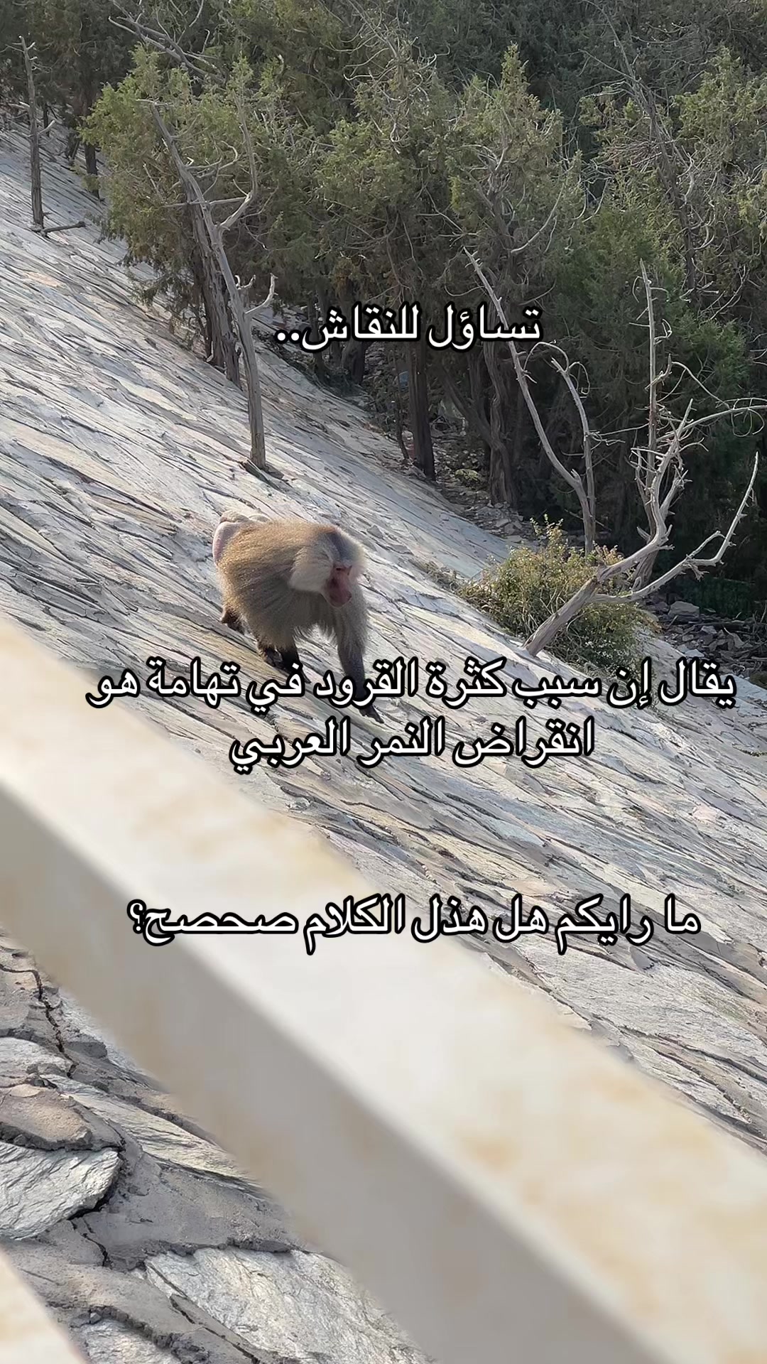 @عمر